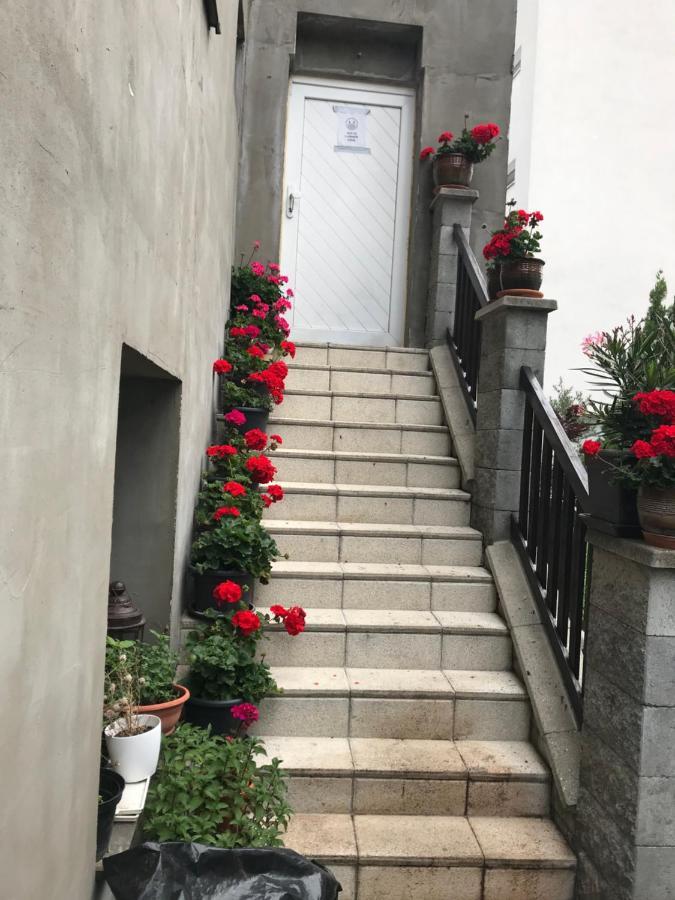 Penzion Vilo Bratislava Buitenkant foto